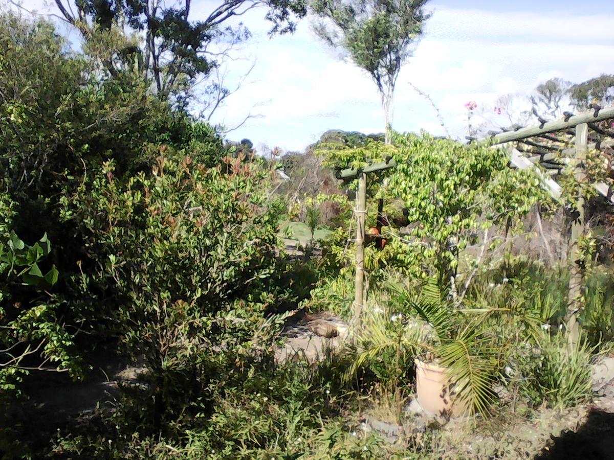 Forest Cove Cottage Knysna Exterior photo